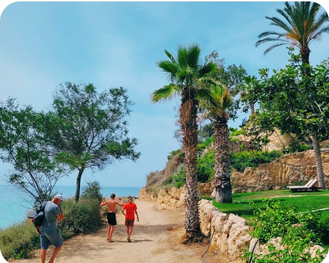 Walking along a palm-lined coastal path
